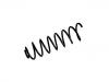 Coil Spring:5056916