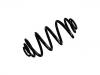 Coil Spring:22810673