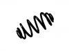 Coil Spring:13251751