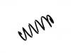 Coil Spring:20927340