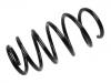 Coil Spring:312 292