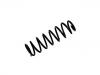 Coil Spring:93178682