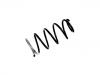 Coil Spring:54010-95F0B