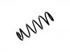 Coil Spring:5002.FC