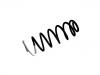 Coil Spring:5102.AA