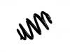 Coil Spring:7H0 511 115 AJ