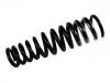 Coil Spring:163 320 18 13