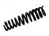 Coil Spring:163 320 23 13