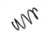 Coil Spring:31 33 1 093 086