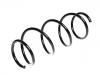 Coil Spring:204 321 04 04