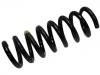 Coil Spring:204 324 06 04