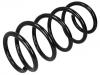 Coil Spring:312 243