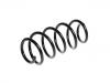 Coil Spring:3C0 411 105