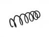 Coil Spring:55 02 000 03R