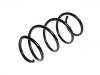 Coil Spring:54 01 000 06R