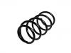 Coil Spring:93189878