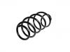 Coil Spring:1K0 411 105 BD