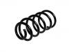 Coil Spring:46823847