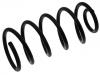 Coil Spring:1J0 411 105 AK