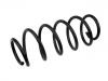 Coil Spring:312 061