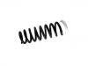 Coil Spring:55350-2Y811