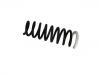 Coil Spring:55350-2Y821