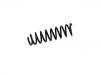 Coil Spring:55350-A6260