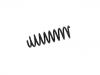 Coil Spring:55350-A6060