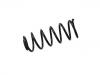 Coil Spring:55330-1Y400