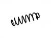 Coil Spring:1K0 511 115 CJ