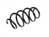 Coil Spring:5N0 411 105 AA