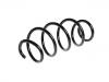 Coil Spring:5N0 411 105 S