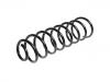 Coil Spring:5062401