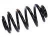 Coil Spring:RKB000251