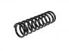 Coil Spring:RKB101651