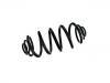 Coil Spring:55 02 096 71R