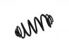 Coil Spring:55 02 054 60R