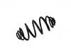 Coil Spring:82 00 844 277