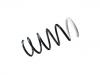 Coil Spring:55 02 027 20R