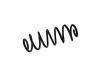 Coil Spring:5102.N8