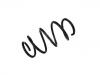 Coil Spring:312 637