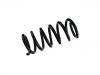 Coil Spring:20927342