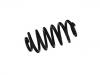 Coil Spring:95107103