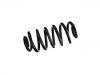 Coil Spring:95965583