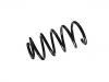 Coil Spring:424 489