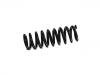 Coil Spring:48 00 852