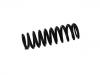 Coil Spring:48 00 813