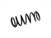 Muelle de chasis Coil Spring:55020-ZQ20B