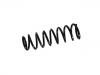 Coil Spring:4140A163