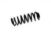 Coil Spring:164 324 09 04